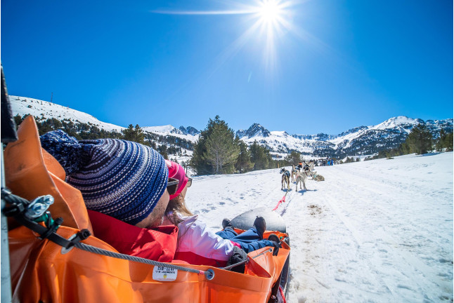 cadeaux originaux pour la famille : Mushing