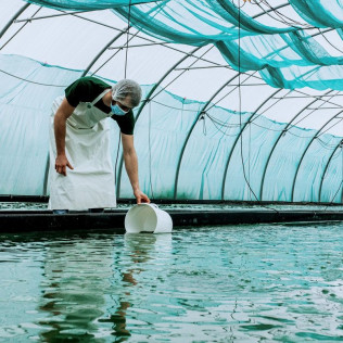 Atelier de Récolte de Spiruline avec Dégustation (Villeneuve d'Ascq, Nord - 59)