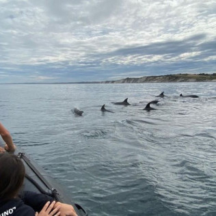 Excursion "Espagnole" en Bateau (Saint-Jean-de-Luz, Pyrénées-Atlantiques - 64)