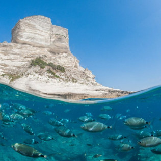 Baptême de Plongée et Snorkeling (Bonifacio, Corse-du-Sud - 20)