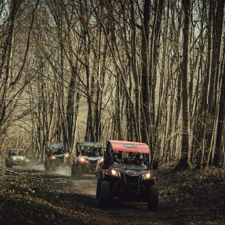 Randonnée en Buggy pour une ou deux personnes (La Ferté Gaucher, Seine-et-Marne - 77)