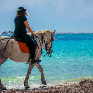 Balade à Cheval sur la Plage (Cupabia, Corse-du-Sud - 20)