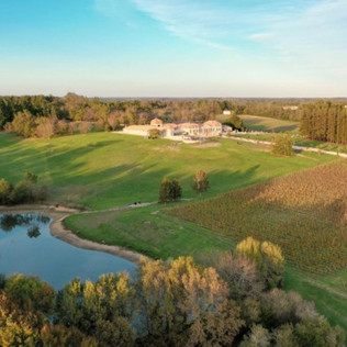 Balade à Cheval entre les Vignes Prieuré Marquet (Saint-Martin-du-Bois, Gironde - 33)