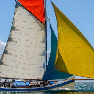 Sortie en Mer et Balade en Bateau dans le Golfe du Morbihan (Arzon, Morbihan - 56)