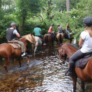 Rando Fermière : Balade à Cheval dans la Vallée de l’Ortolo (Sartène, Corse-du-Sud - 20)