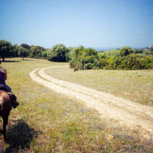 Rando Fermière : Balade à Cheval dans la Vallée de l’Ortolo (Sartène, Corse-du-Sud - 20)