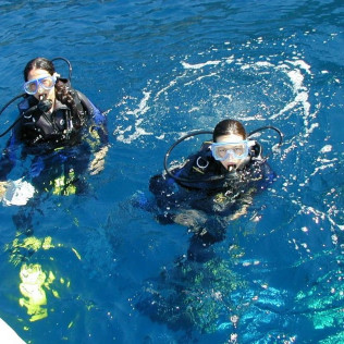 Baptême de Plongée dans la baie de Villefranche (Nice, Alpes-Maritimes- 06)