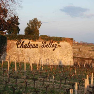 Croisière commentée sur la Garonne  avec Dégustation de Vins pour deux (Saint-Michel-de-Fronsac, Gironde - 33)