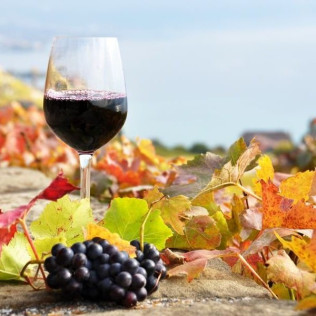 Séjour Œnologique avec Dîner et Dégustation de Vins avec Secrets de Vignobles (Beaune, Côte d'Or - 21)
