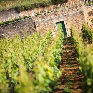 Séjour Œnologique avec Dîner et Dégustation de Vins avec Secrets de Vignobles (Beaune, Côte d'Or - 21)