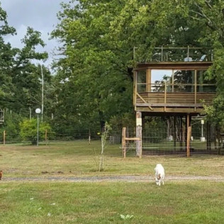 Séjour Insolite : Nuit en Cabane Perchée dans les Arbres avec Massage Californien ou Ayurvédique (Fère-en-Tardenois, Hauts-de-France - 02)