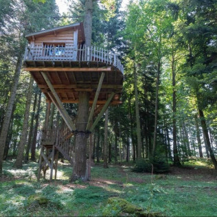 Séjour Insolite : Nuit en Cabane “RENARD” Perchée avec Petit-déjeuner et Spa (Belsentes, Ardèche - 07)
