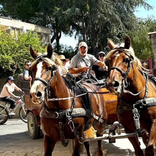 Découverte du Pays de l'Or en Calèche (Lansargues, Hérault - 34)