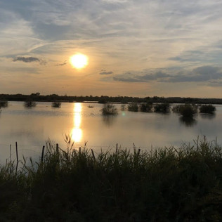 Découverte du Pays de l'Or en Calèche (Lansargues, Hérault - 34)