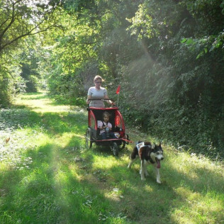 Cani-Randonnée avec des chiens nordiques (Chênehutte, Maine-et-Loire - 49)