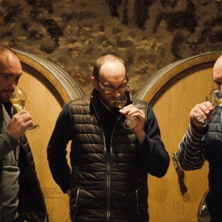 Visite de la Cave et du Domaine Harlin avec Dégustation de Champagne (Mareuil-le-Port, Marne - 51)
