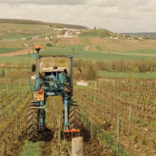 Dégustation de 6 Cuvées au Domaine Harlin (Mareuil-le-Port, Marne - 51)