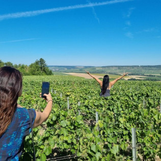 Dégustation de 6 Cuvées au Domaine Harlin (Mareuil-le-Port, Marne - 51)