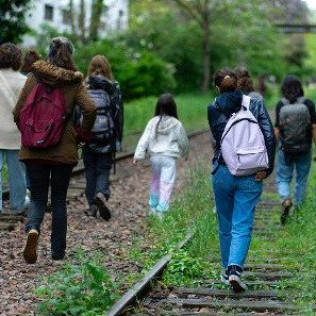 Balade Découverte et Dégustation de Plantes Sauvages (Paris, Île-de-France - 75)