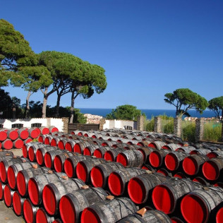 Balade Vigneronne, Visite de la Cave et Dégustation pour deux aux Terres des Templiers (Banyuls-sur-Mer - 66)