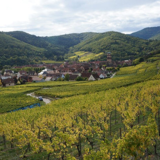 Séjour Œnologique avec Dîner et Dégustation de Vins avec Secrets de Vignobles (Beaune, Côte d'Or - 21)