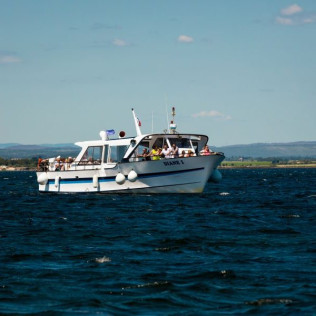 Balade en Bateau avec Dégustation d'Huîtres (Marseillan, Hérault - 34)