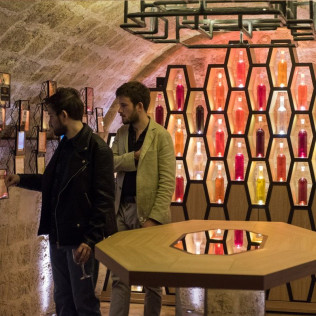 Visite Immersive aux Caves du Louvre et Dégustation de 3 vins avec un Sommelier (Paris, Île-de-France - 75)