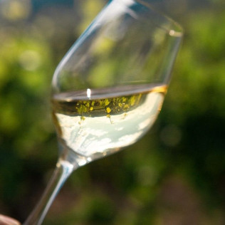 Visite Bulles et Dégustation de Vin pour deux au Château de la Greffière (La Roche Vineuse, Bourgogne - 71)