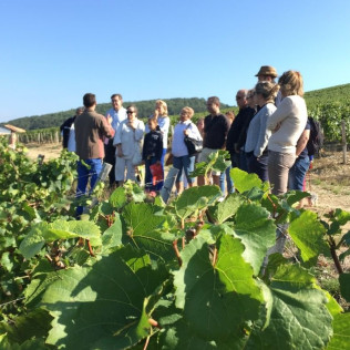 Visite Bulles et Dégustation de Vin pour deux au Château de la Greffière (La Roche Vineuse, Bourgogne - 71)