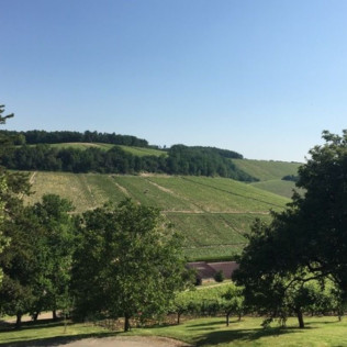 Dégustation à l’aveugle de 4 Vins d’exception pour deux (Sainte-Vertu, Yonne - 89)