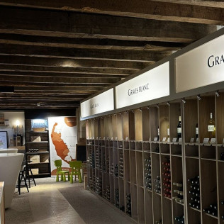 Dégustation de Vin et Visite Œnologique (Podensac, Gironde - 33)