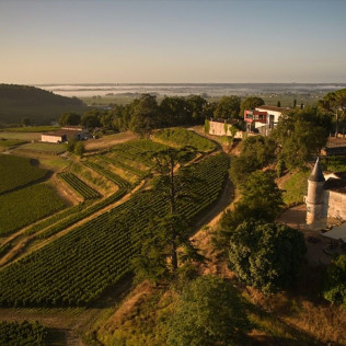 Visite avec Dégustation de Vins et Assiette au Château La Croizille (Saint-Émilion, Gironde- 33)