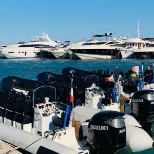 Excursion en Mer avec Observation des Dauphins au Sanctuaire Pelagos (Saint-Raphaël, Var - 83)