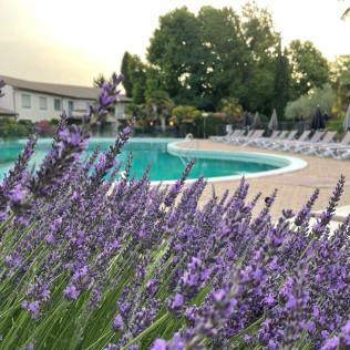 Séjour de 2 nuits en Chambre Supérieure avec Spa à l'Hôtel Les Oliviers (Loriol-sur-Drôme, Drôme - 26)