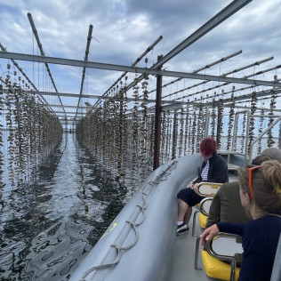 Excursion en Bateau : Canal du Midi et Lagune de Thau (Marseillan, Hérault - 34)