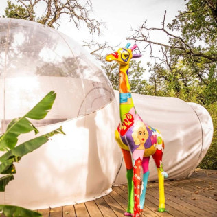 Séjour en Logement Insolite : Nuit dans une Bulle avec Petit-déjeuner et Spa Privatif au domaine Cœur de Bull (Cahuzac-sur-Vère, Tarn - 81)
