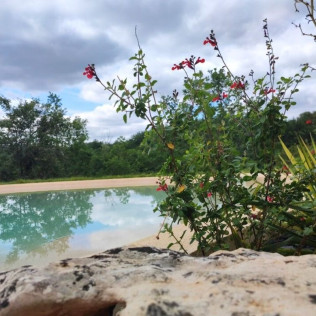 Séjour en Logement Insolite : Nuit dans une Arche Bioclimatique avec Spa Privé et Piscine Chauffée (Le Vignon-en-Quercy, Lot - 46)