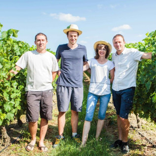 Expérience Découverte de la Vigne à la Cave pour deux (Montans, Tarn - 81)