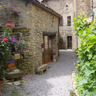 Séjour en Chambre d’Hôtes dans le Sud à Les Roses Trémières (Saint-André-de-Rosans, Hautes Alpes - 05)