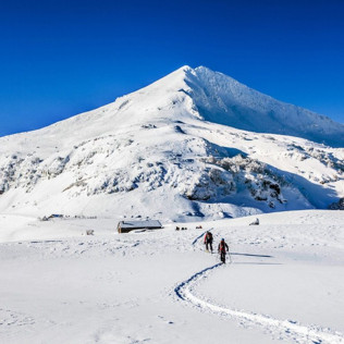 Sortie Nature et Découverte en Raquettes à Neige (Laveissière, Cantal - 15)