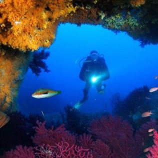 Plongeur Niveau 1 ou Scuba Diver (Gignac-la-Nerthe, Bouches-du-Rhône - 13)
