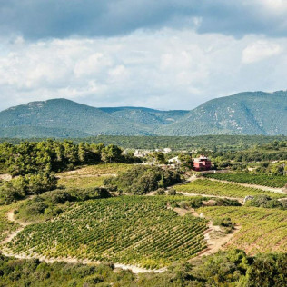 Séjour Gastronomique avec Dîner et Visite de la Cave au Château et Village Castigno 5* (Assignan, Hérault - 34)