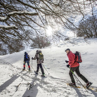 Sortie Nature et Découverte en Raquettes à Neige (Laveissière, Cantal - 15)