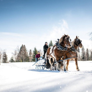 Balade en Traîneau à Cheval Privatisé Grand Nord (La Féclaz, Savoie - 73)