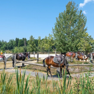 Randonnée à Cheval Revard Bellevue (La Féclaz, Savoie - 73)