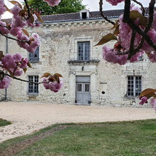 Séjour avec Spa et Dîner au Domaine de Bourgville (Monts-sur-Guesnes, Vienne - 86)