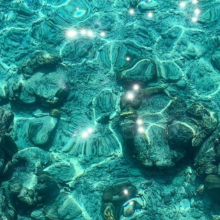 Plongée Privée Bordure de Réserve sur mesure pour deux (Pianottoli Caldarello, Corse-du-Sud - 20)