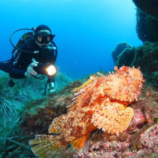 Snorkeling et Randonnée Palmée (Calvi, Corse - 20)
