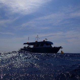 Snorkeling pour deux sur la Costa Brava (Roses, Espagne)