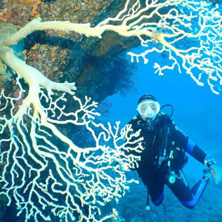 Snorkeling et Randonnée Palmée - Départ du Bateau (Ajaccio, Corse-du-Sud - 20)